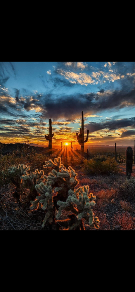 Sun-baked desert landscape